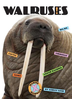 Walruses - Gish, Ashley