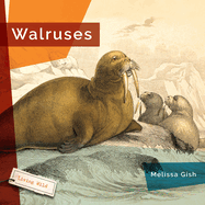 Walruses