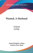 Wanted, a Husband: A Novel (1920)