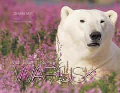 Wapusk: White Bear of the North