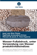 Wasser-Fu?abdruck, unter Verwendung von Wasser produktivit?tsindizes