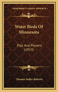 Water Birds of Minnesota: Past and Present (1919)