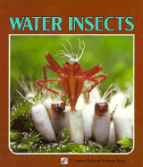Water Insects - Johnson, Sylvia A, and Masuda, Modoki (Photographer)