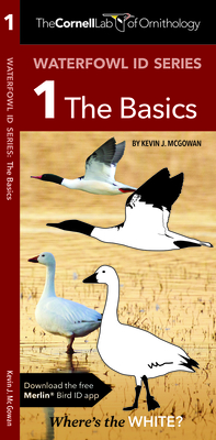 Waterfowl Id Series: 1 the Basics - McGowan, Kevin J