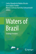 Waters of Brazil: Strategic Analysis