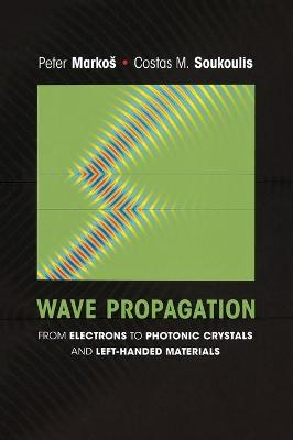 Wave Propagation: From Electrons to Photonic Crystals and Left-Handed Materials - Markos, Peter, and Soukoulis, Costas M