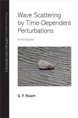 Wave Scattering by Time-Dependent Perturbations: An Introduction - Roach, G F