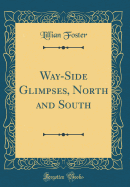 Way-Side Glimpses, North and South (Classic Reprint)