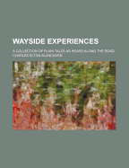 Wayside Experiences: A Collection of Plain Tales as Heard Along the Road