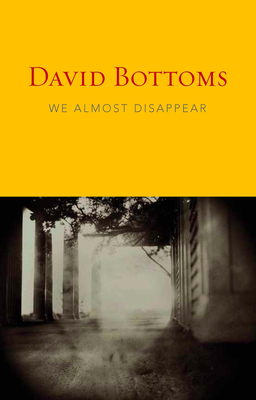 We Almost Disappear - Bottoms, David