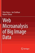 Web Microanalysis of Big Image Data