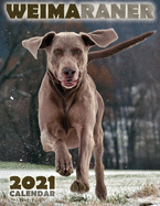 Weimaraner 2021 Calendar