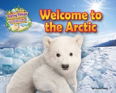 Welcome to the Arctic - Head, Honor