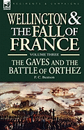 Wellington and the Fall of France Volume III: The Gaves and the Battle of Orthes