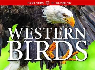 Western Birds: Pocket Guide - Kagume, Krista, and Kennedy, Gregory, and Bezener, Andy