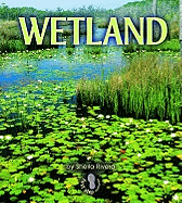 Wetland