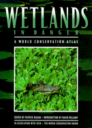 Wetlands in Danger: A World Conservation Atlas - Dugan, Patrick (Editor), and Bellamy, David (Introduction by)