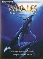 Whales: An Unforgettable Journey - Al Giddings; David Clark; Roger Payne