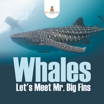 Whales - Let's Meet Mr. Big Fins - Baby Professor