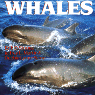 Whales - Stoops, Erik Daniel, and Martin, Jeffrey L