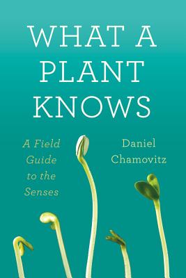 What a Plant Knows: A Field Guide to the Senses - Chamovitz, Daniel