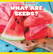 What Are Seeds?