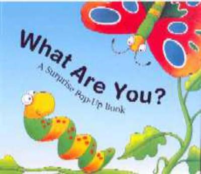 What are You?: A Surprise Pop-up Book - Faulkner, Keith, and Holmes, Stephen (Illustrator)