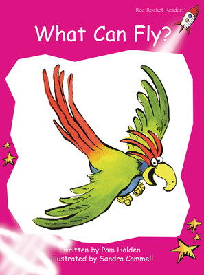 What Can Fly? - Holden, Pam