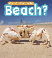 What Can Live at the Beach?