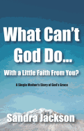 What Can't God Do Wiht a Little Faith From You: A Single Mother's Story of God's Grace