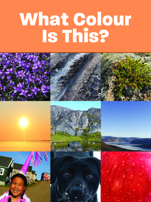 What Colour Is This?: English Edition - Arvaaq Press