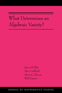 What Determines an Algebraic Variety?: (Ams-216)