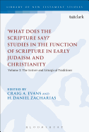 What Does the Scripture Say?' Studies in the Function of Scripture in Early Judaism and Christianity: Volume 2: The Letters and Liturgical Traditions