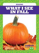 What I See in Fall