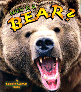 What Is a Bear? - Kalman, Bobbie, and Crossingham, John