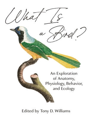 What Is a Bird?: An Exploration of Anatomy, Physiology, Behavior, and Ecology - Williams, Tony D (Contributions by), and McWilliams, Scott (Contributions by), and Clarke, Julia A (Contributions by)