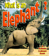 What is an Elephant?