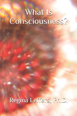 What Is Consciousness? - Leffers, Regina