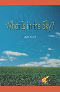 What Is in the Sky