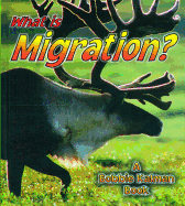 What Is Migration?