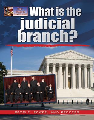 What Is the Judicial Branch? - Rodger, Ellen