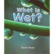 What Is Wet?: Leveled Reader Grade K