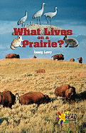 What Lives on a Prairie?