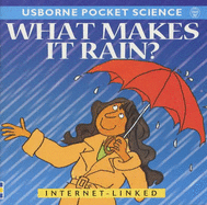 What Makes it Rain? - Mayes, Susan