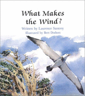 What Makes the Wind - Pbk