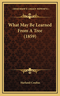 What May Be Learned from a Tree (1859)