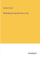 What May be Learned from a Tree