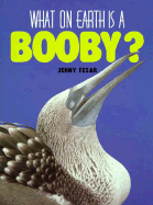 What on earth is a booby?
