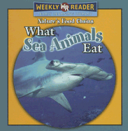 What Sea Animals Eat