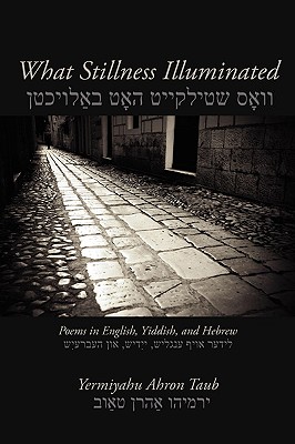 What Stillness Illuminated: Poems in English, Yiddish, and Hebrew - Taub, Yermiyahu Ahron